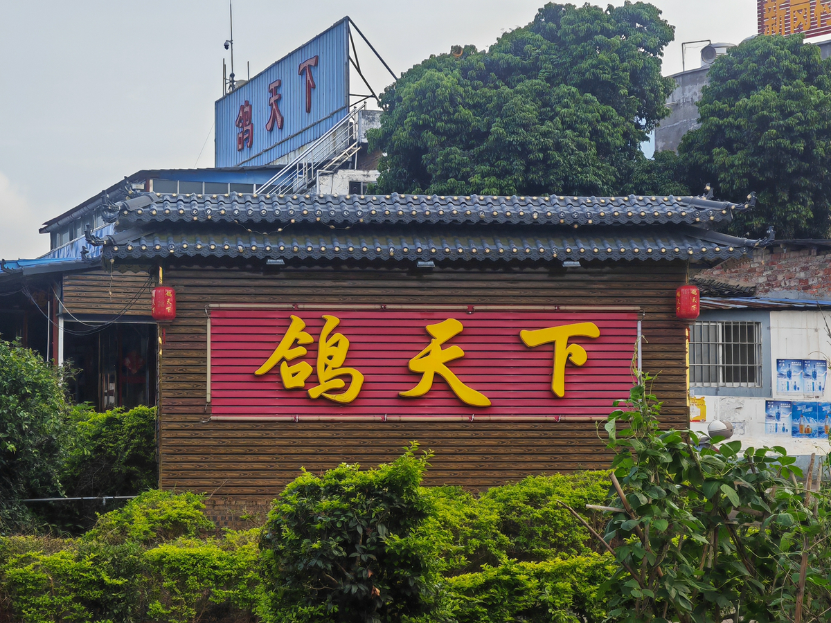 微信图片_20240507211056.jpg